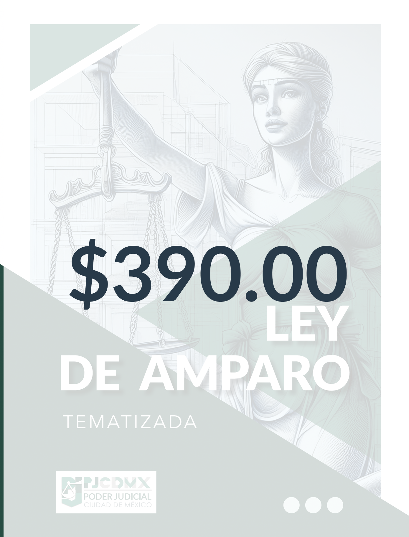 LEY AMPARO