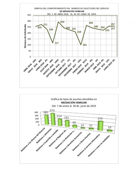 PÁGINA WEB ENE-JUN FAMILIAR 02