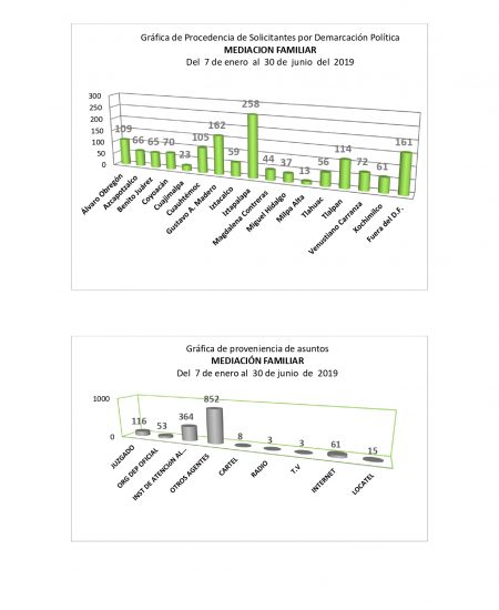 PÁGINA WEB ENE-JUN FAMILIAR 03
