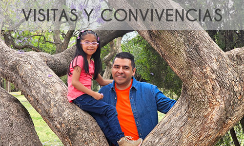 Visitas_convivencias Visitas_convivencias