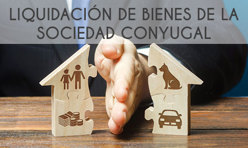 liquidacion_bienes liquidacion_bienes
