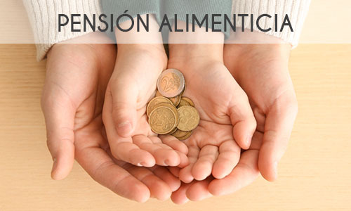pension_alimenticia pension_alimenticia